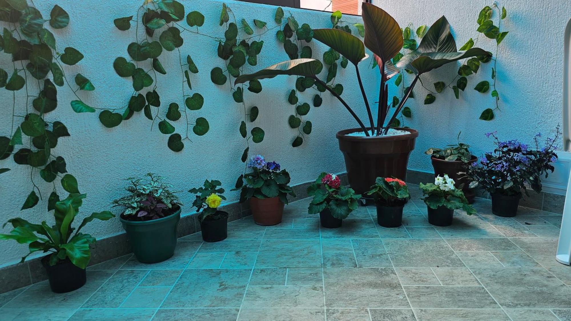 Casa Vacacional Primaveral *